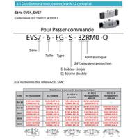 EVS1-01-FG-S-3ZRM0-X51-Q, SMC