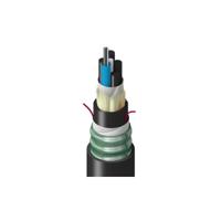 TT-3LG-012-HTNN, Belden Inc.