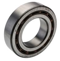 SKF 4211 ATN9 2 Row Deep Groove Ball Bearing - 55 mm ID, 100 mm OD