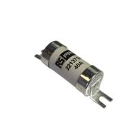 221-3714 RS PRO 40A Bolted Tag Fuse, A3, 250 V dc, 690 V ac, 73mm