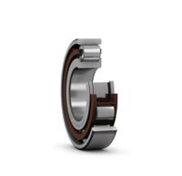 N 205 ECP SKF  25 mm ID Roller Bearing, 52 mm OD