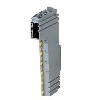 X20AO2438, B&R