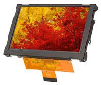EA W800X-50AILW, Display Visions