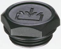 58641 Elesa-Clayton, Glass Fibre Reinforced Plastic (GRP) Hydraulic Blanking Plug, Thread Size 1 in