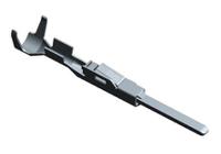 170359-4 UNIV. M-N-L PINTE Connectivity