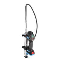 TLGB 21/110V, SKF