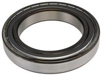 6020-2Z, SKF