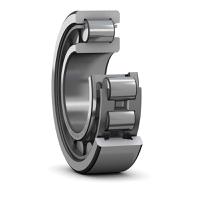 NJ 207 ECJ, SKF